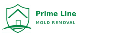 Prime Line Mold Removal